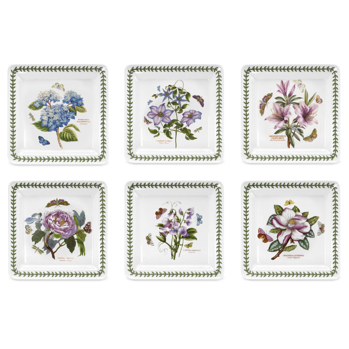 Portmeirion Botanic Garden Square Dinner Plates Set of 6