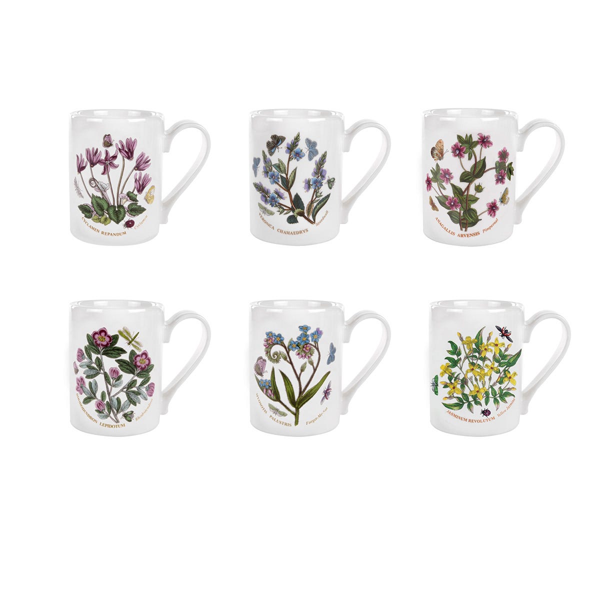 Botanic Garden Set of 6 Coffee Mugs