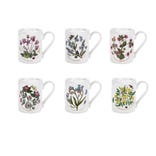 Botanic Garden Set of 6 Coffee Mugs