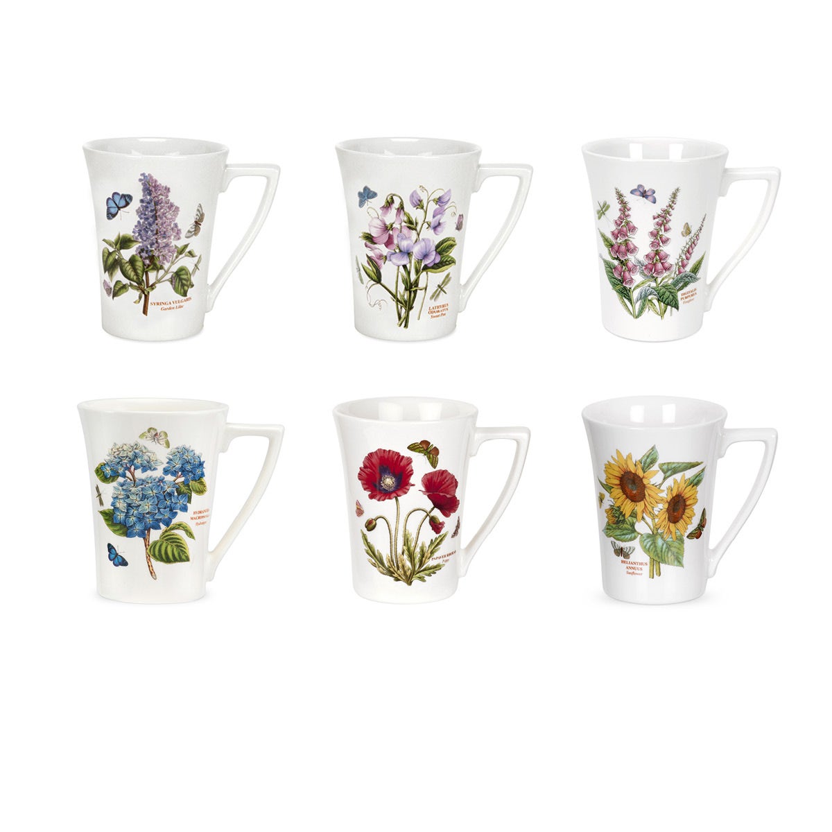 Botanic Garden Set of 6 Mandarin Shape Mugs