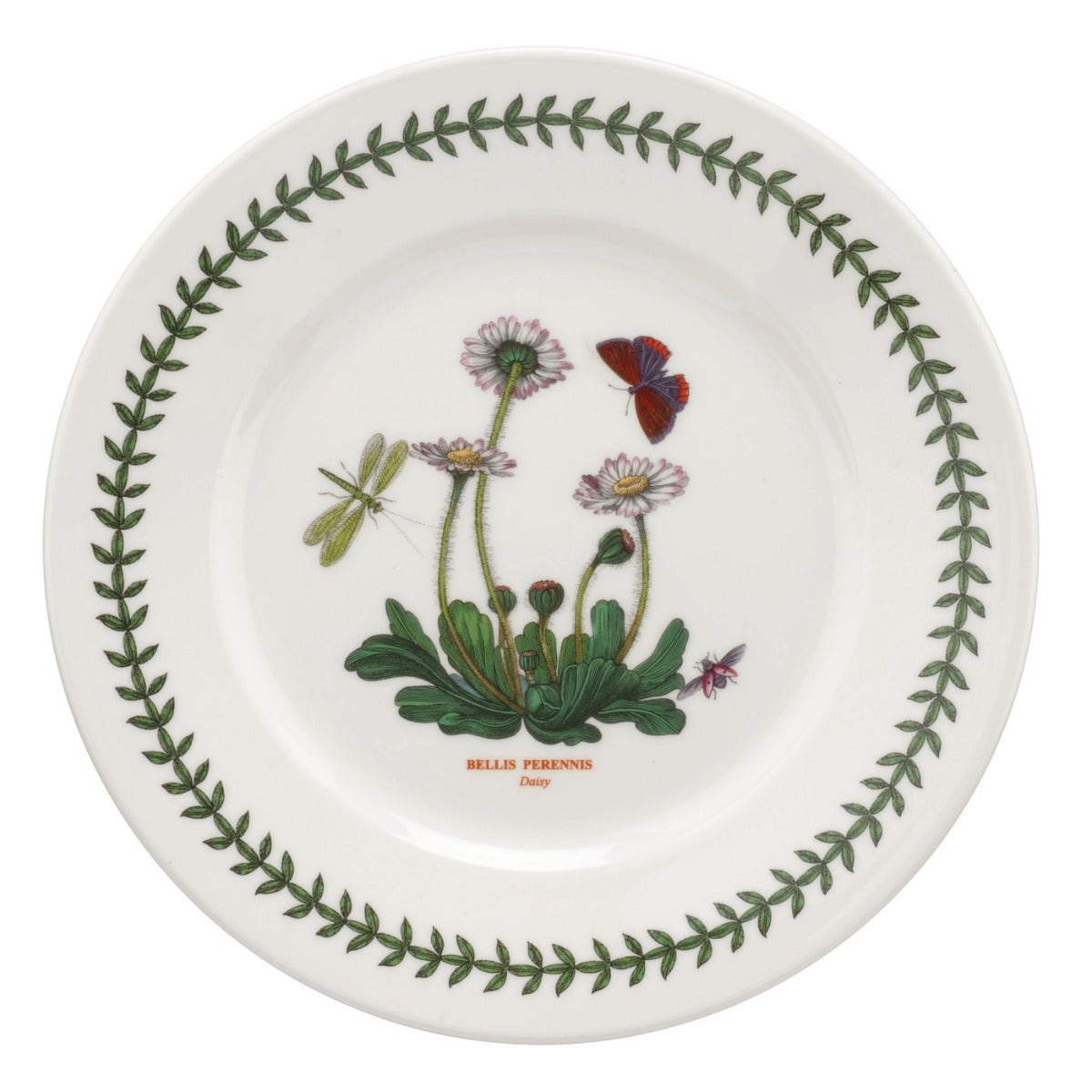 Seconds Portmeirion Botanic Garden Set Of 6 9 Inch Rimmed Plates - Daisy