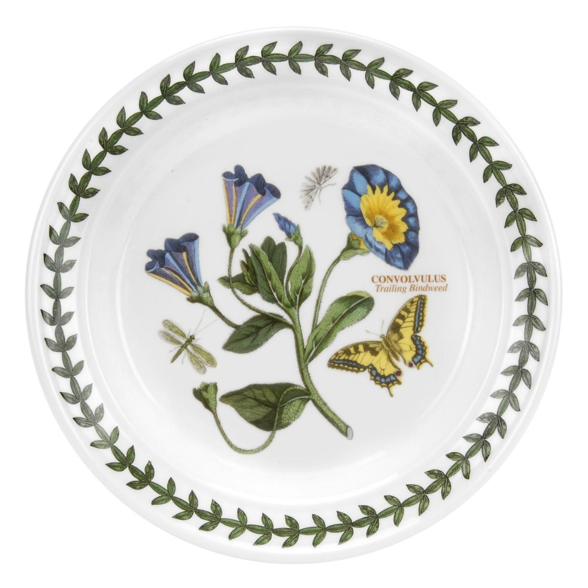 Seconds Portmeirion Botanic Garden Set Of 6 6 Inch Plates - Convolvulus