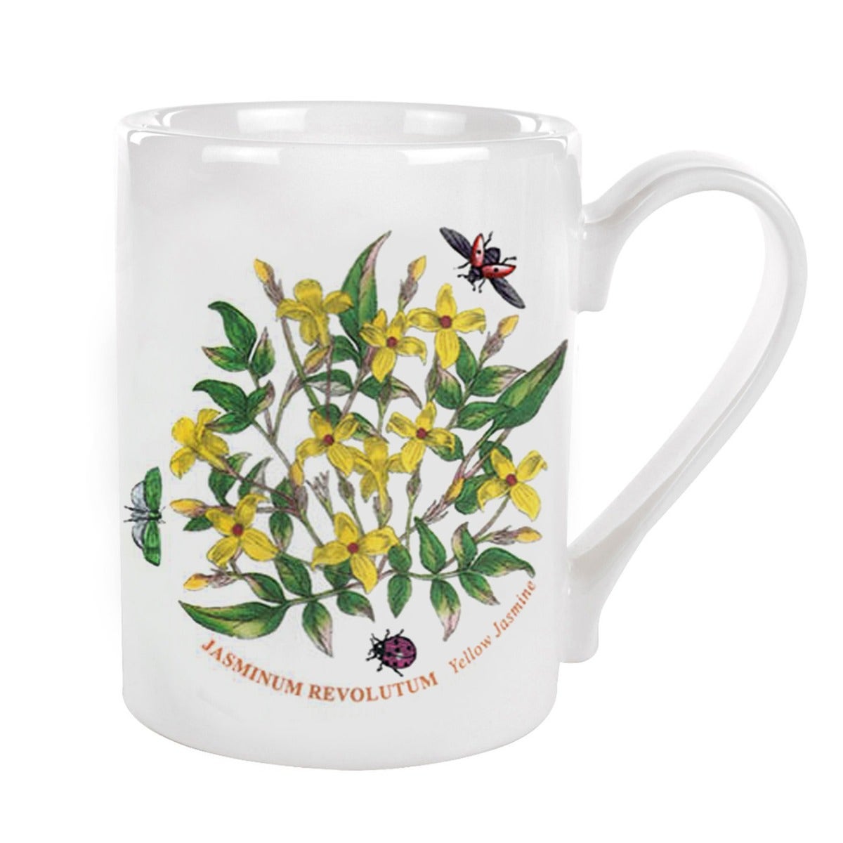 Seconds Portmeirion Botanic Garden Single 0.5 Pint Coffee Mug - No Guarantee of Flower Design