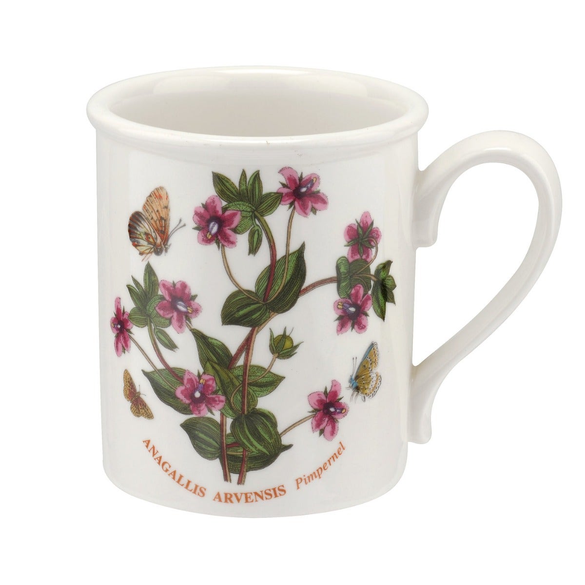 Seconds Portmeirion Botanic Garden Set Of 6 Breakfast Mugs -  Pimpernel