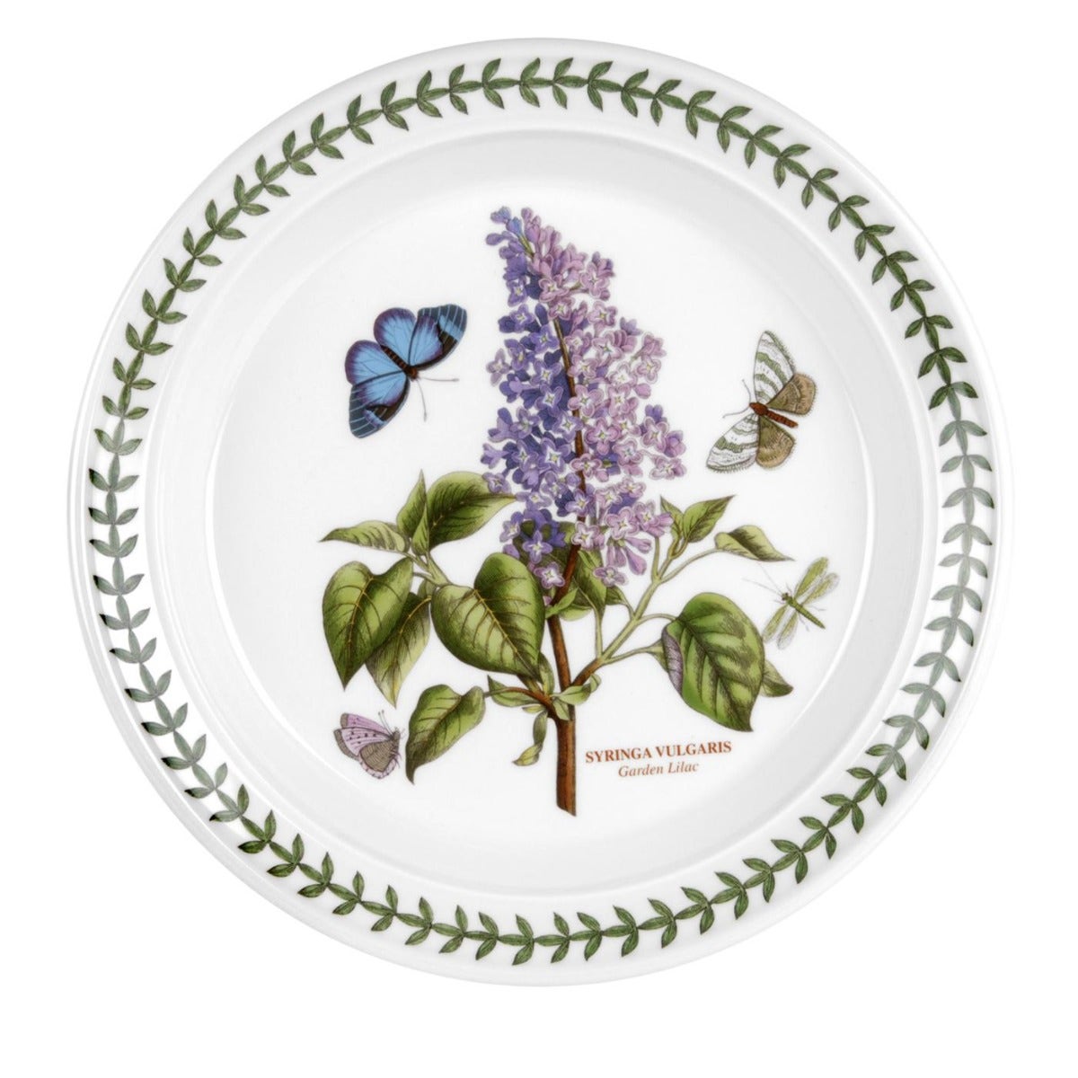 Seconds Portmeirion Botanic Garden 8 Inch Plate - Garden Lilac