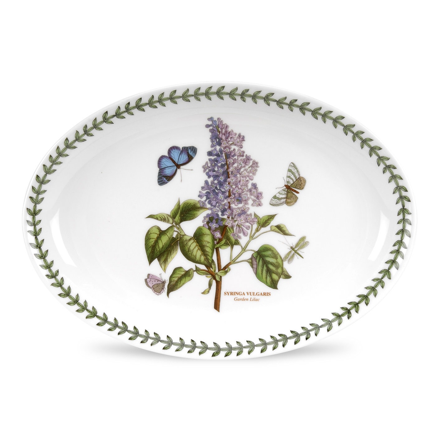 Seconds Portmeirion Botanic Garden Set of 6 9 Inch Oval Steak Platters