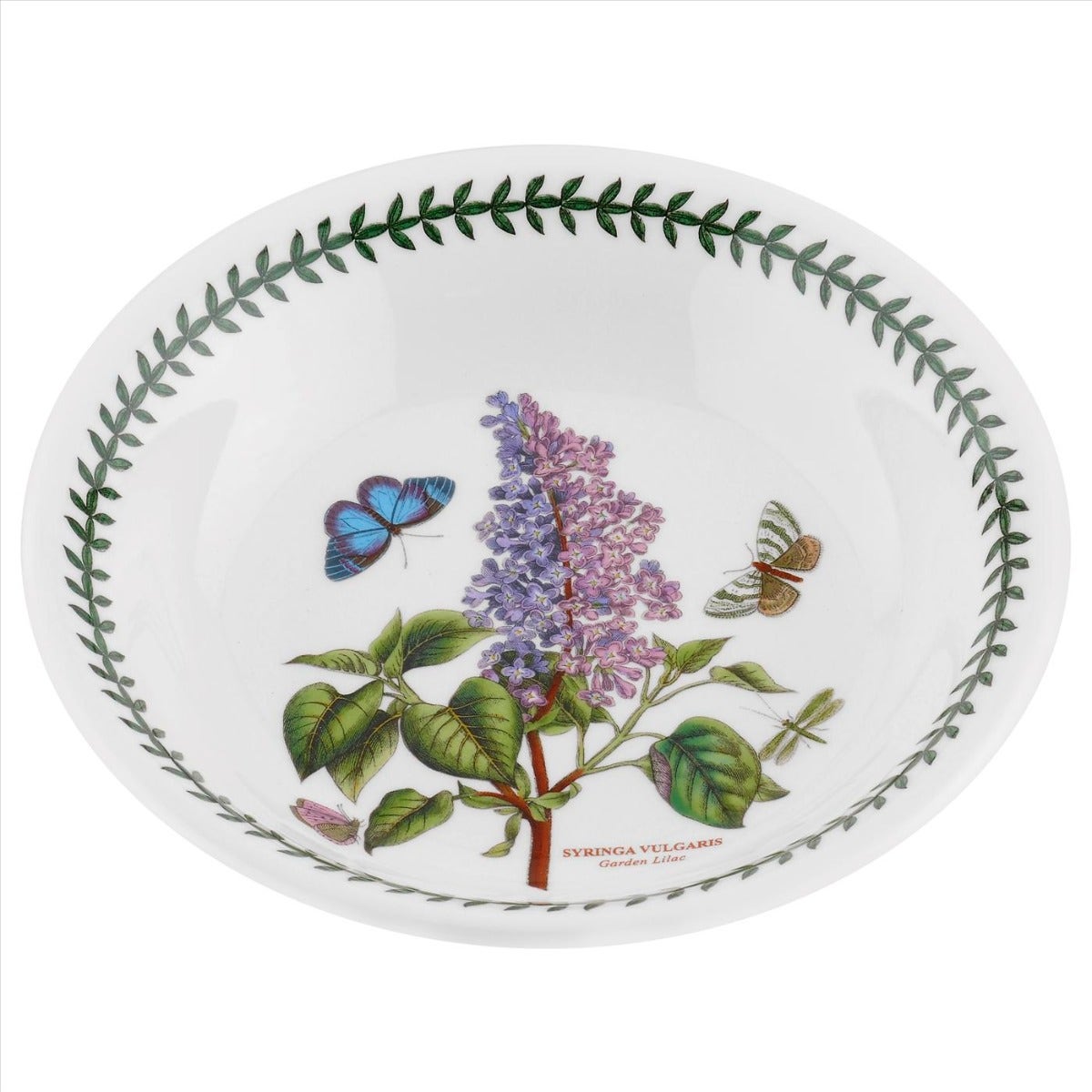 Seconds Portmeirion Botanic Garden Set Of 6 8 Inch Pasta Bowls - Garden Lilac