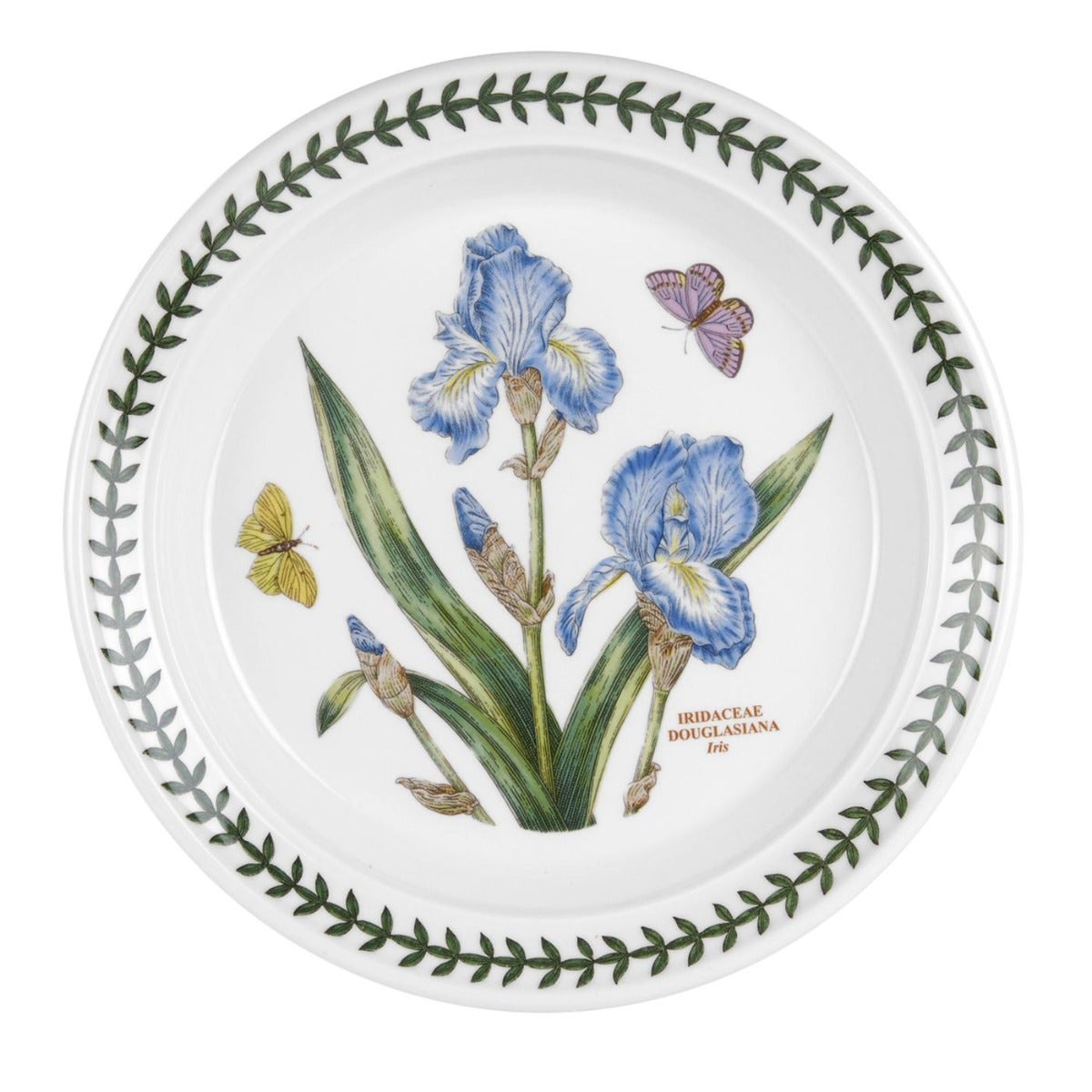 Seconds Portmeirion Botanic Garden 8 Inch Plate Iris Set of 6