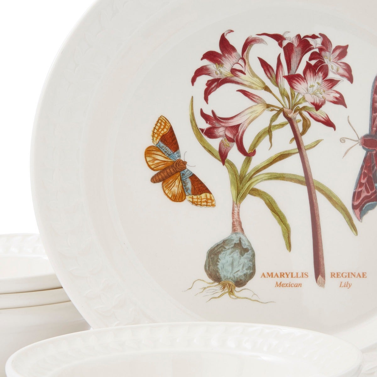 Botanic Garden Papilio 12 Piece Set