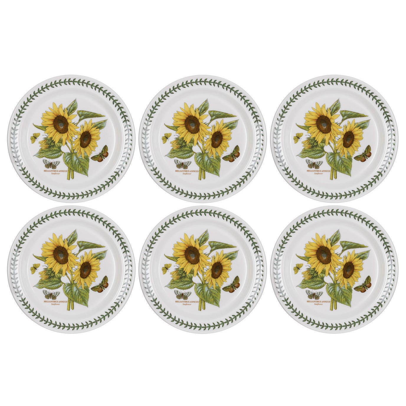 Portmeirion Botanic Garden10 inch Plate Sunflower Set of 6