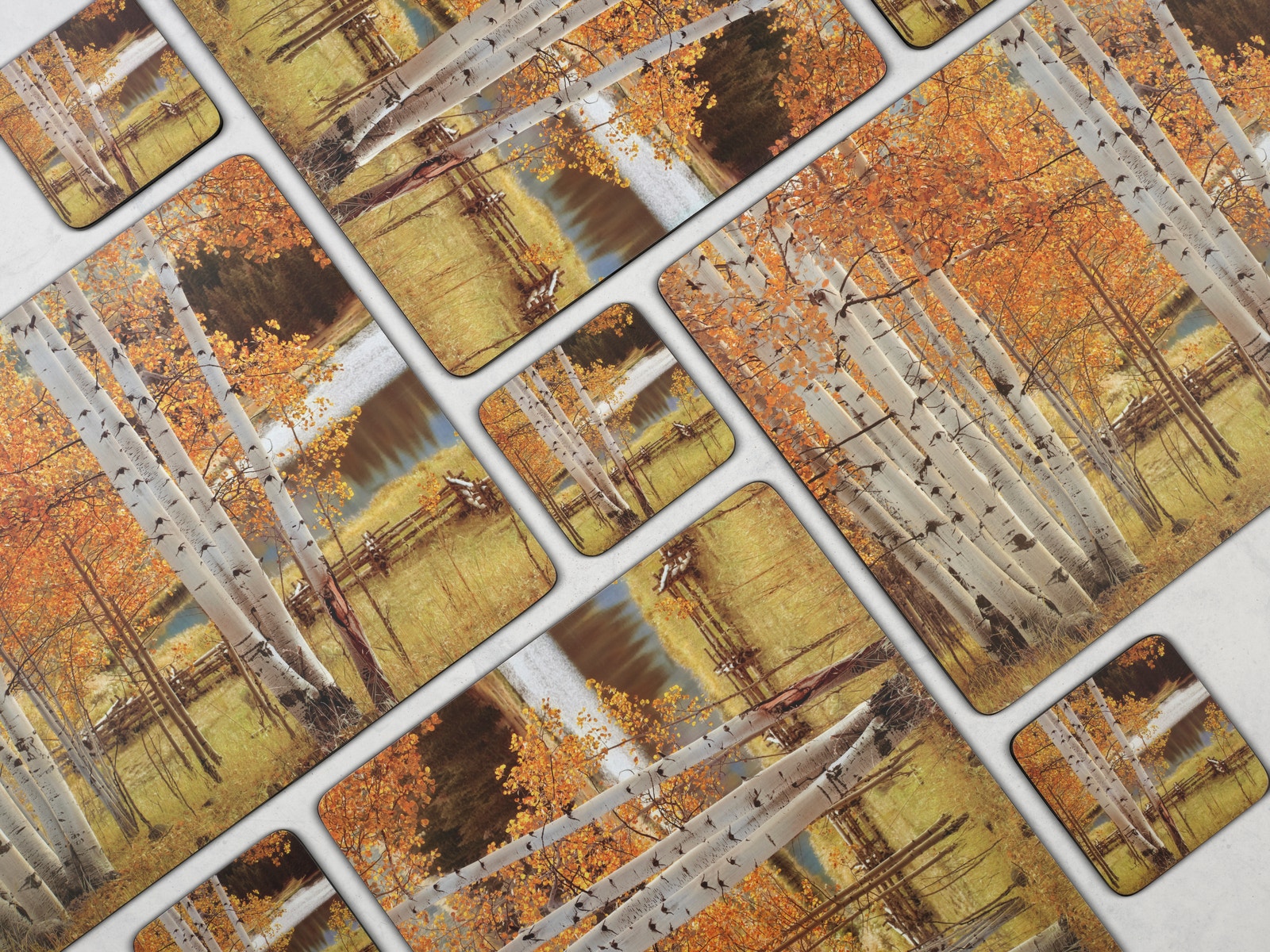 Pimpernel Birch Beauty Placemat Set of 4