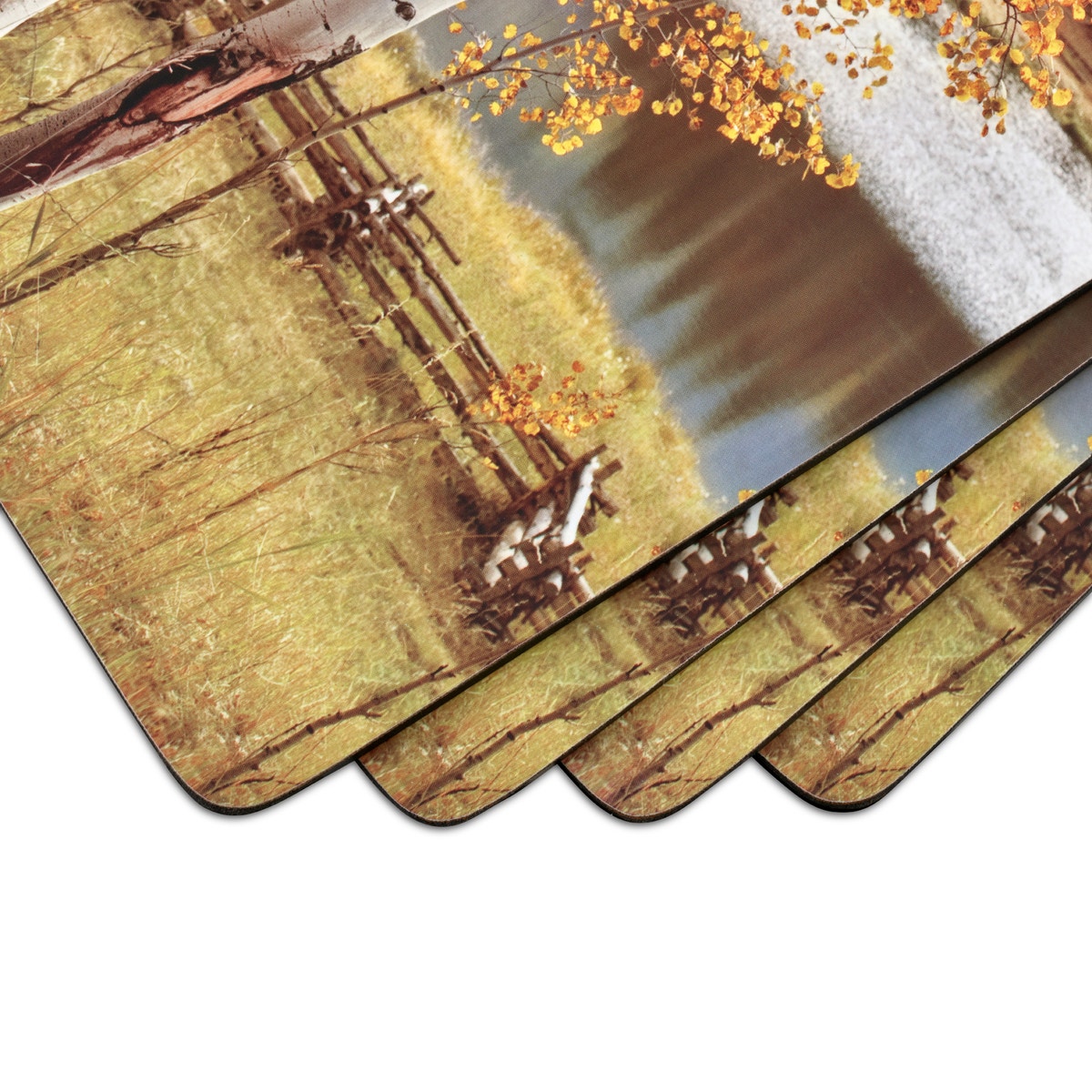Pimpernel Birch Beauty Placemat Set of 4