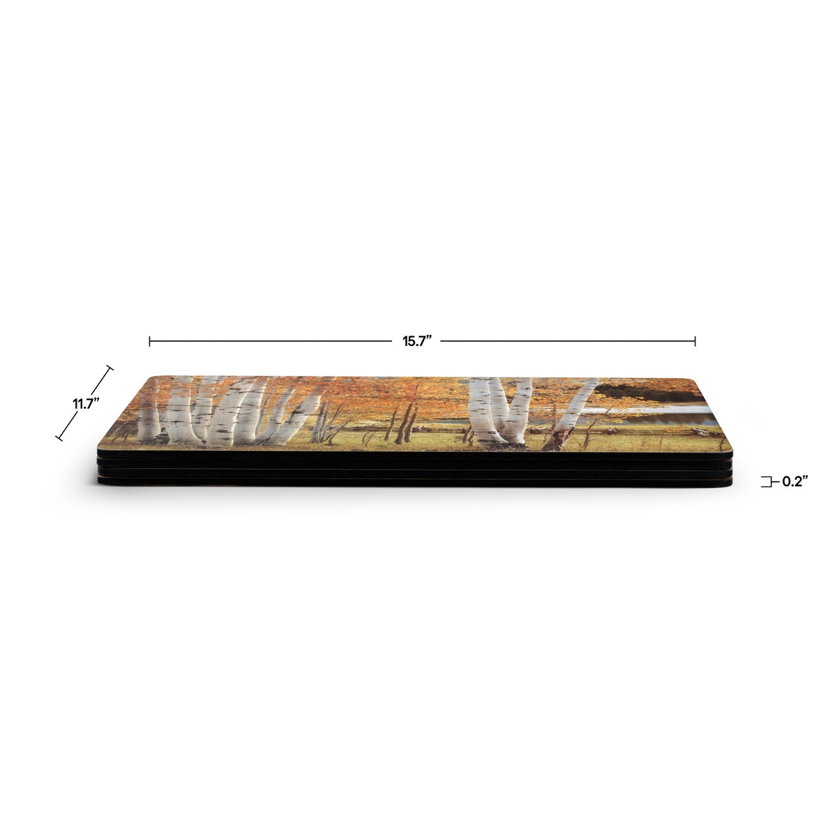 Pimpernel Birch Beauty Placemat Set of 4
