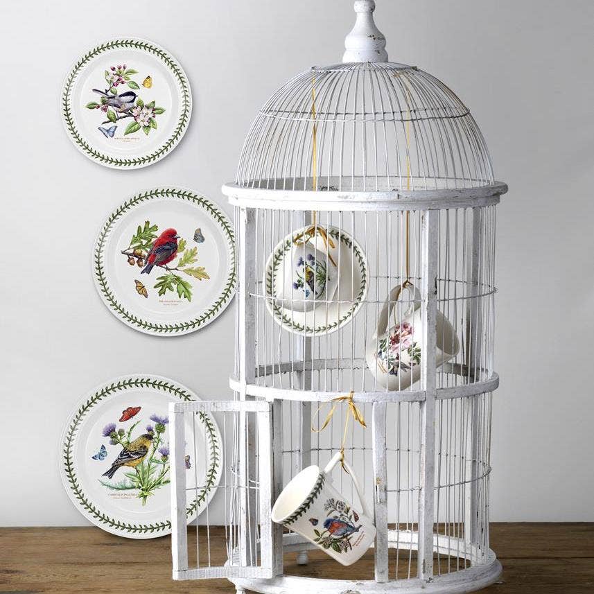 Seconds Portmeirion Botanic Birds Red Cardinal Set of 6 10 Inch Plates