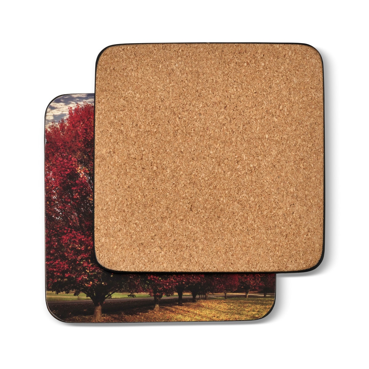 Pimpernel Crimson Trees Coaster Set of 6