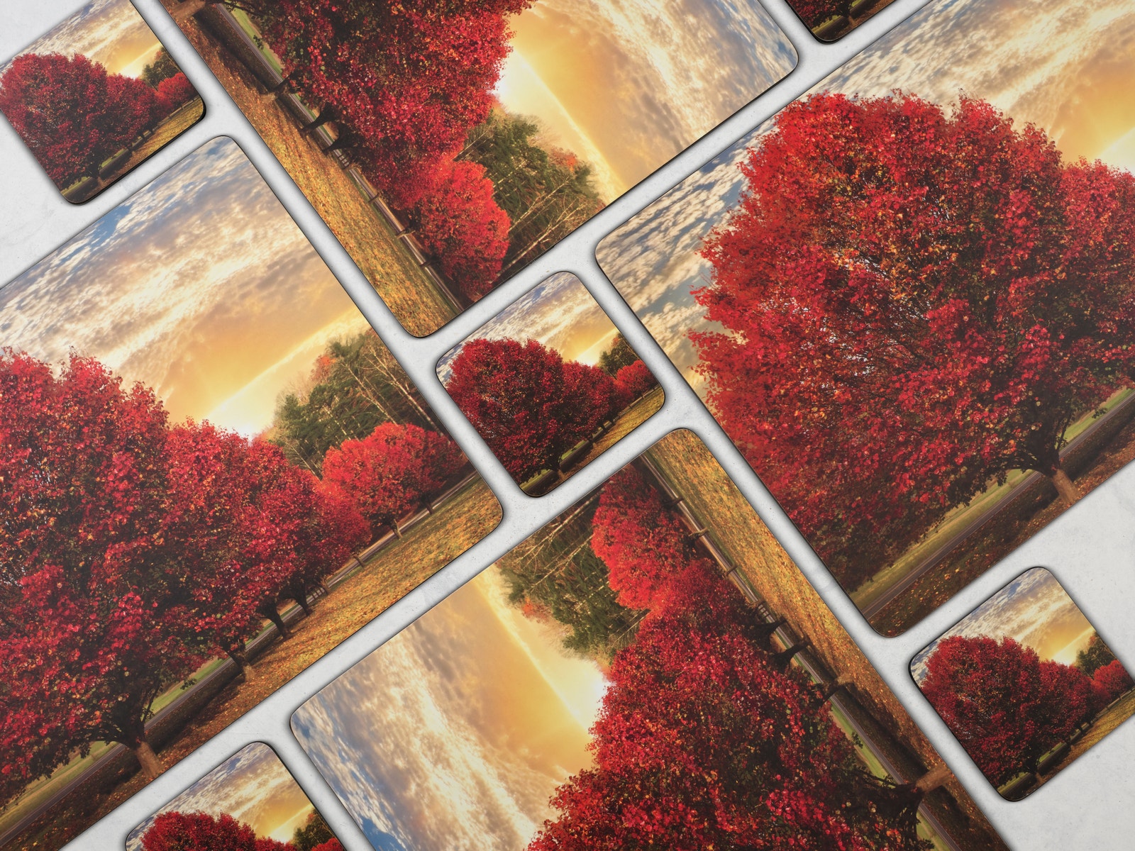 Pimpernel Crimson Trees Coaster Set of 6