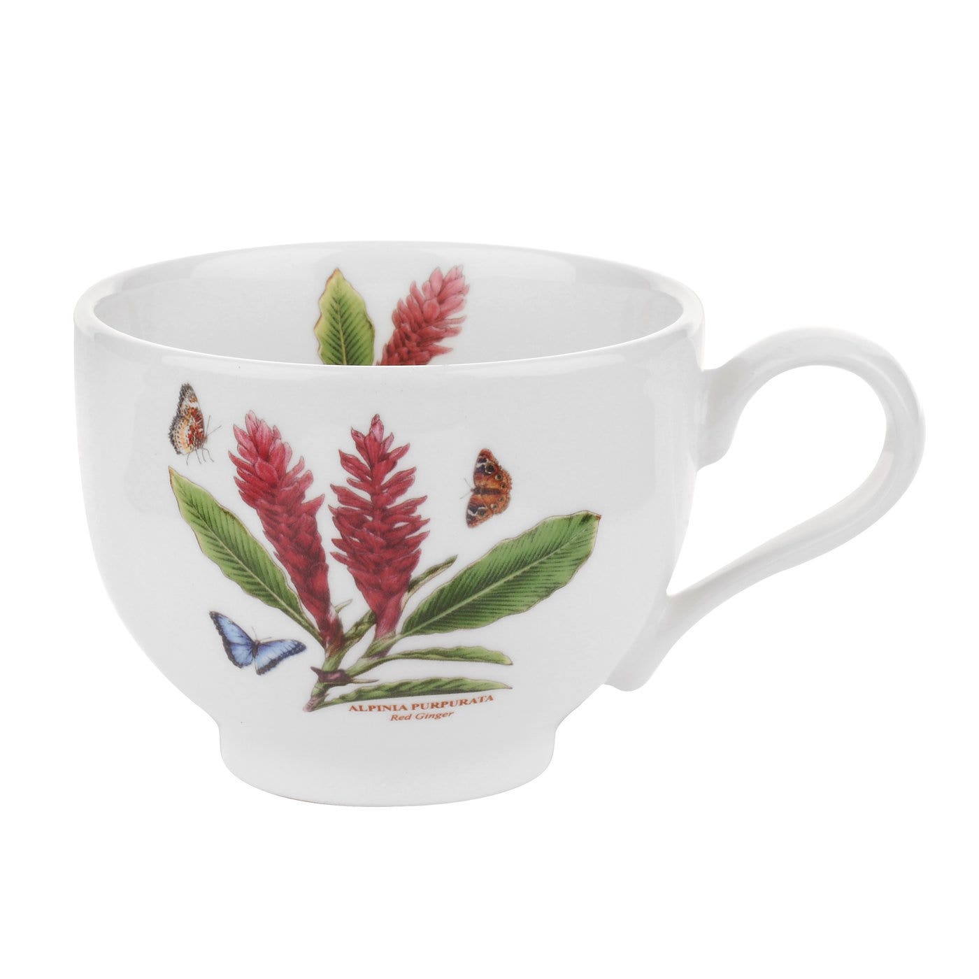 Seconds Portmeirion Exotic Botanic Garden Set of 6 Tea Cup ONLY (T)  - Hawaiian Hibiscus/Dragonfly 