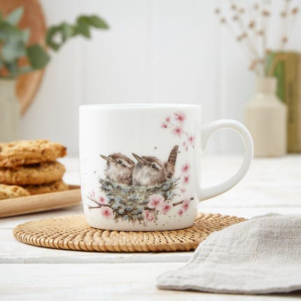 Royal Worcester Wrendale Designs Mug - Feather Your Nest