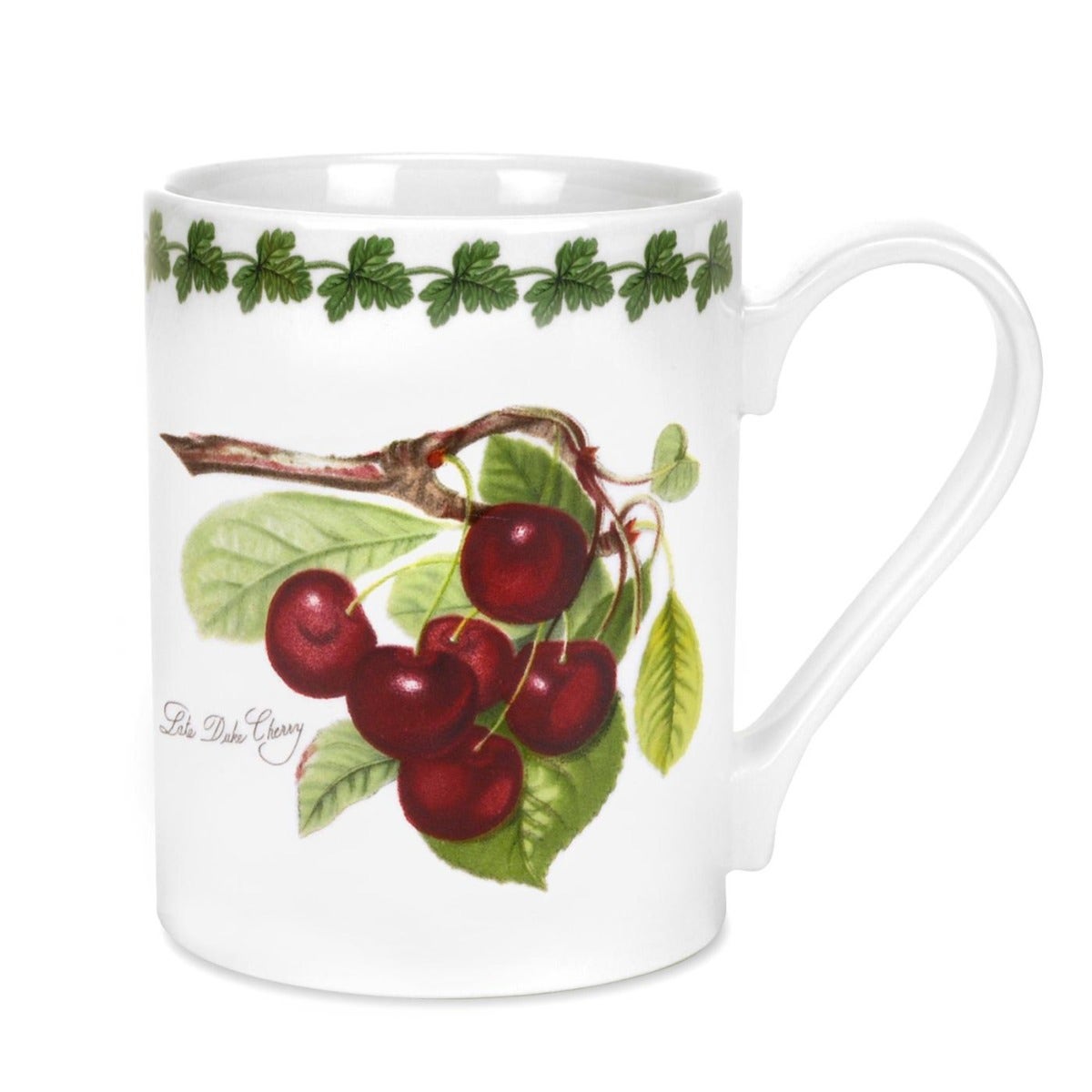 Seconds Portmeirion Pomona Set Of 6 10oz Coffee Mugs - No Guarantee of Fruit Design