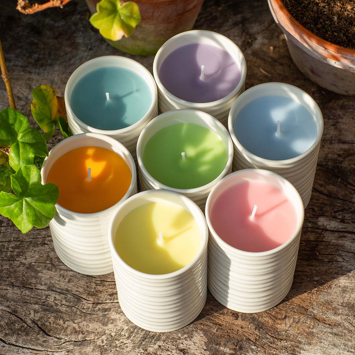 Sophie Conran Bergamot & Cardamom Candle