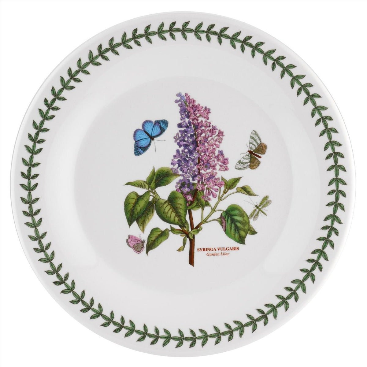 Seconds Portmeirion Botanic Garden 10 Inch (Mandarin Shape) Plates Set of 6 No Guarantee of Flower Design