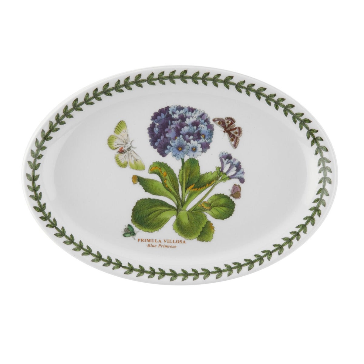 Seconds Portmeirion Botanic Garden Single 9 Inch Oval Steak Platter -  No Guarantee of Flower Design
