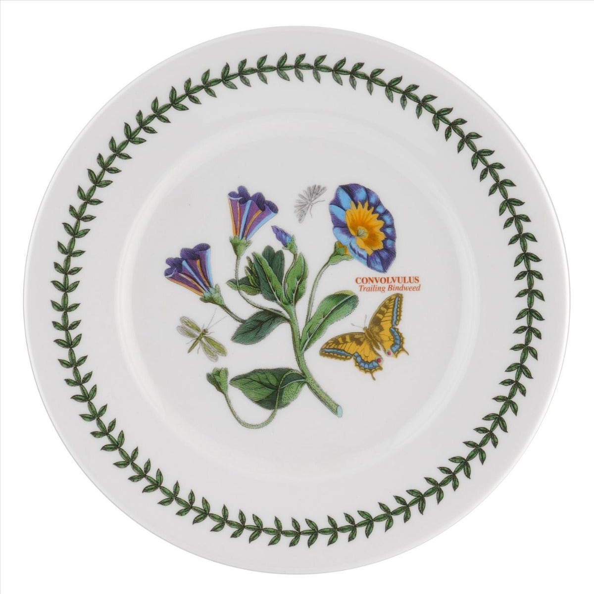 Seconds Portmeirion Botanic Garden Set of 6 9 Inch Rimmed Plates - No Guarantee of Flower Design