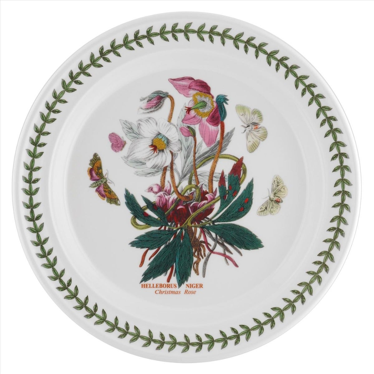 Seconds Portmeirion Botanic Garden Set Of 6 10 Inch Plates - Christmas Rose