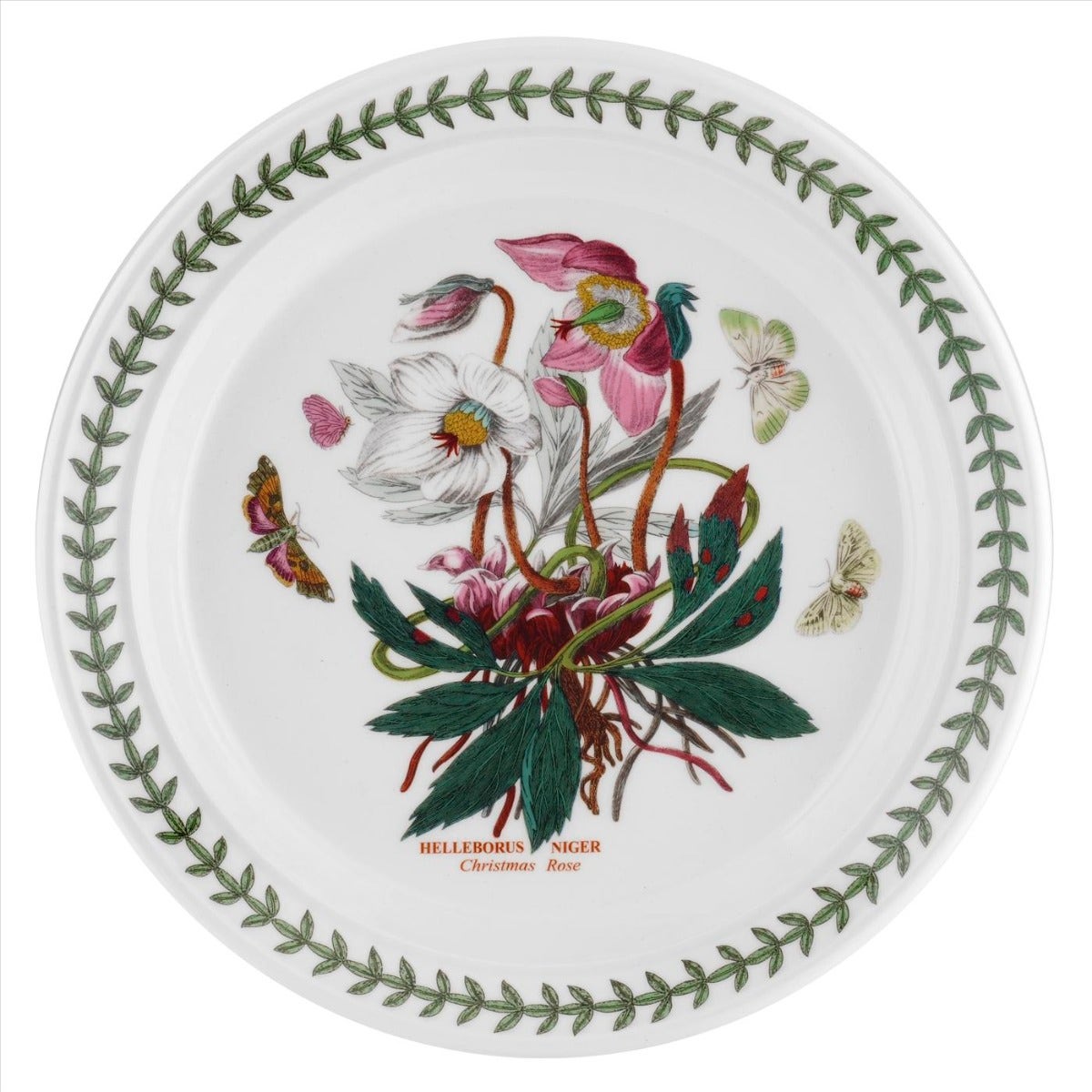 Seconds Portmeirion Botanic Garden Set Of 6 8 Inch Plates - Christmas Rose