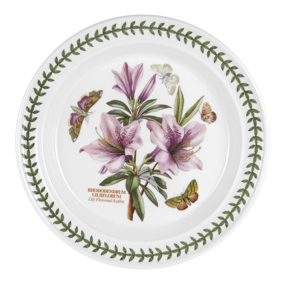 Seconds Portmeirion Botanic Garden Set Of 6 10 Inch Plates -  Azelea