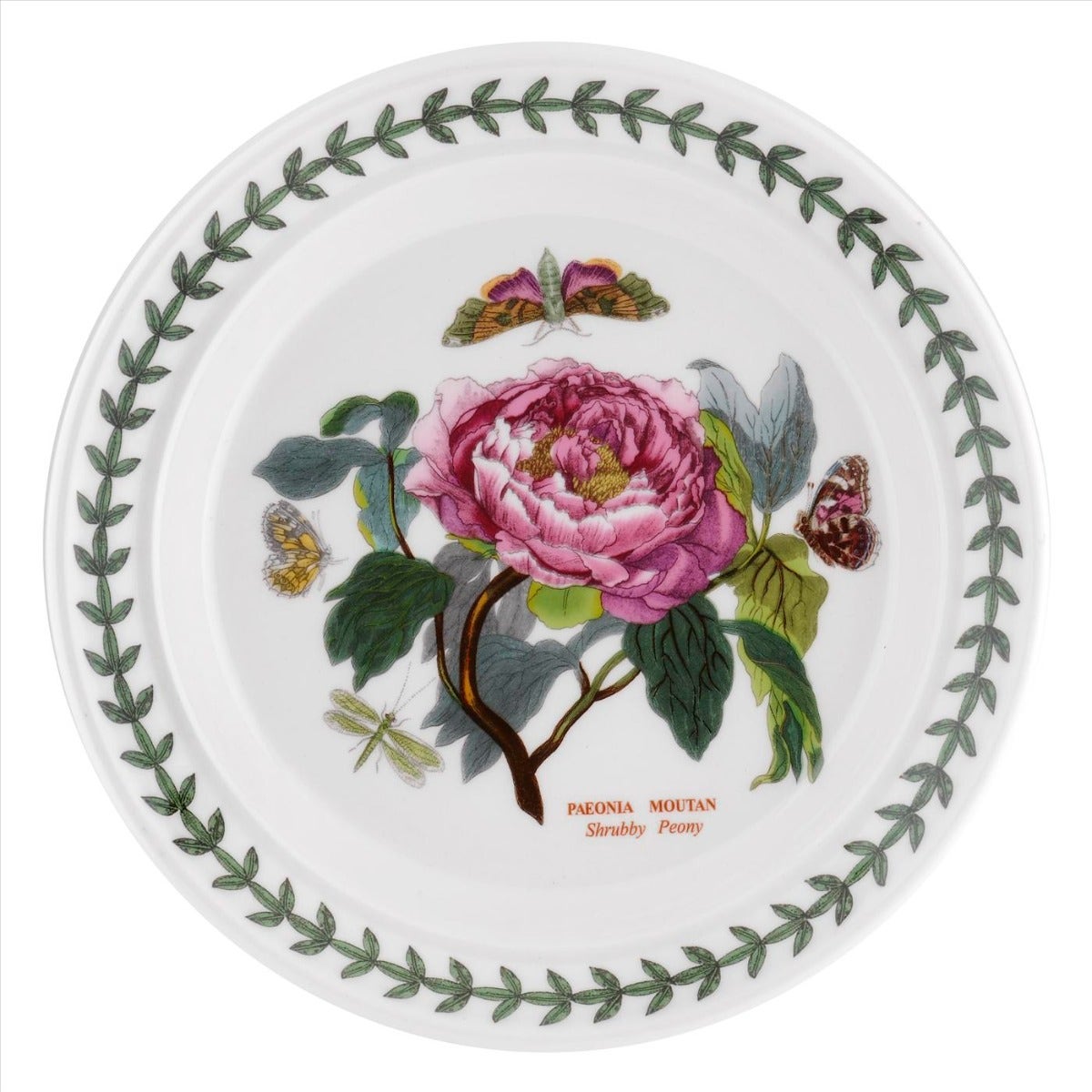 Seconds Portmeirion Botanic Garden Set Of 6 6 Inch Plates - Peony