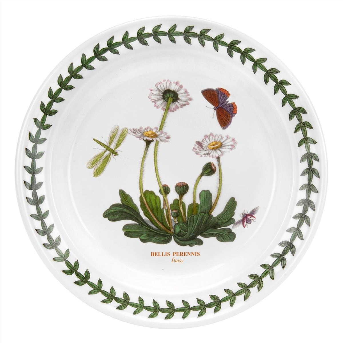 Seconds Portmeirion Botanic Garden Set Of 6 6 Inch Plates - Daisy