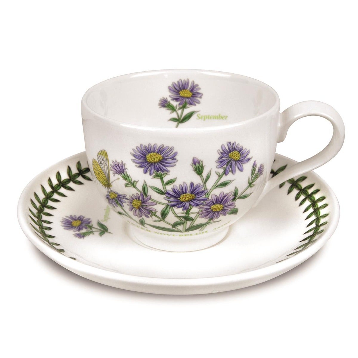 Seconds Portmeirion Botanic Garden Flower of the Month Teacup and Saucer - September
