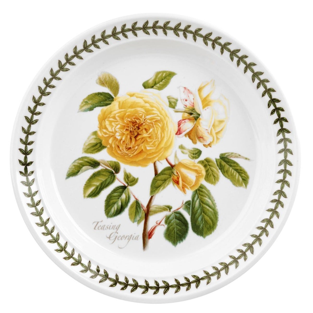 Seconds Portmeirion Botanic Roses Set of 6 8 Inch Plate - No Guarantee Of Flower Design