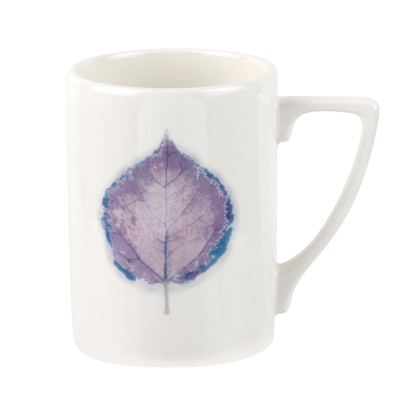 Seconds Portmeirion Dusk Set of 6 Anniversary Mug