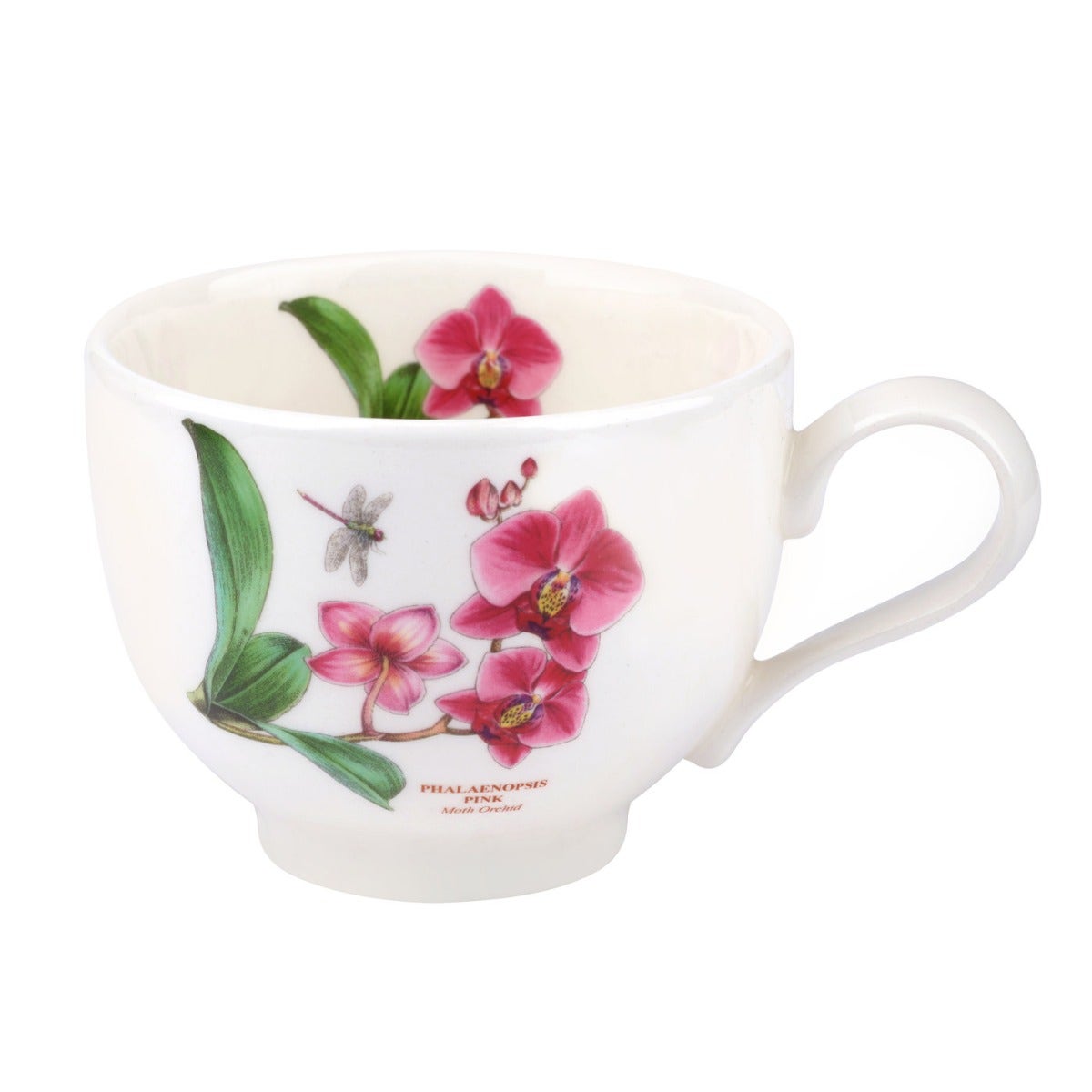 Seconds Portmeirion Exotic Botanic Garden Set of 6 Tea Cup ONLY (T) - Moth Orchid and Water Lily 