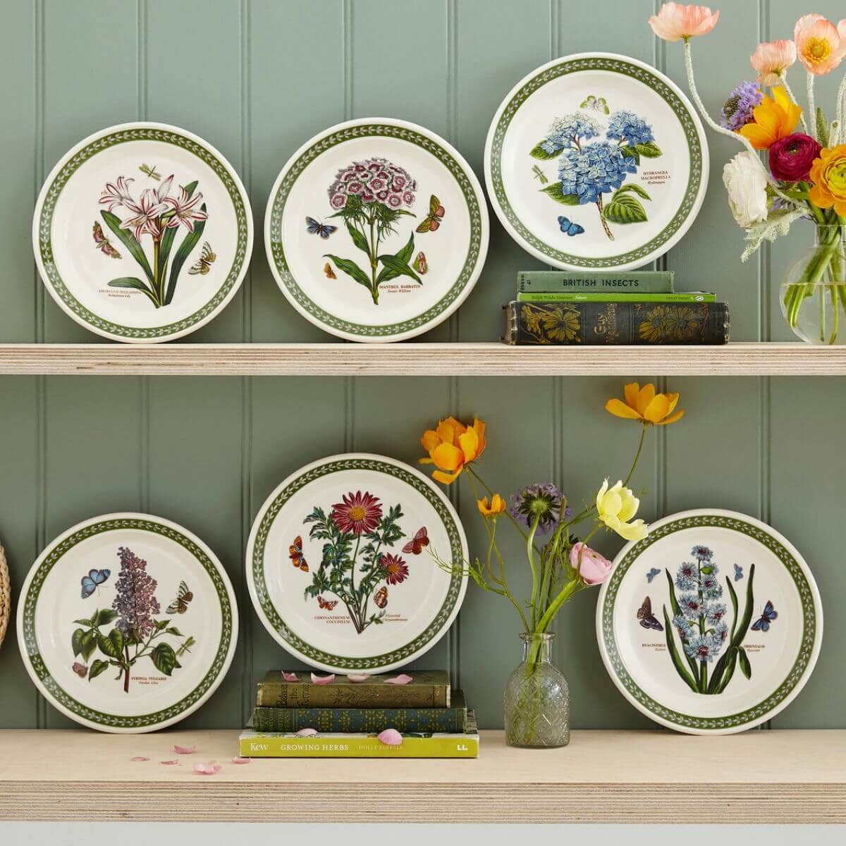Botanic Garden Etchings, set of 6, 8 inch Plates