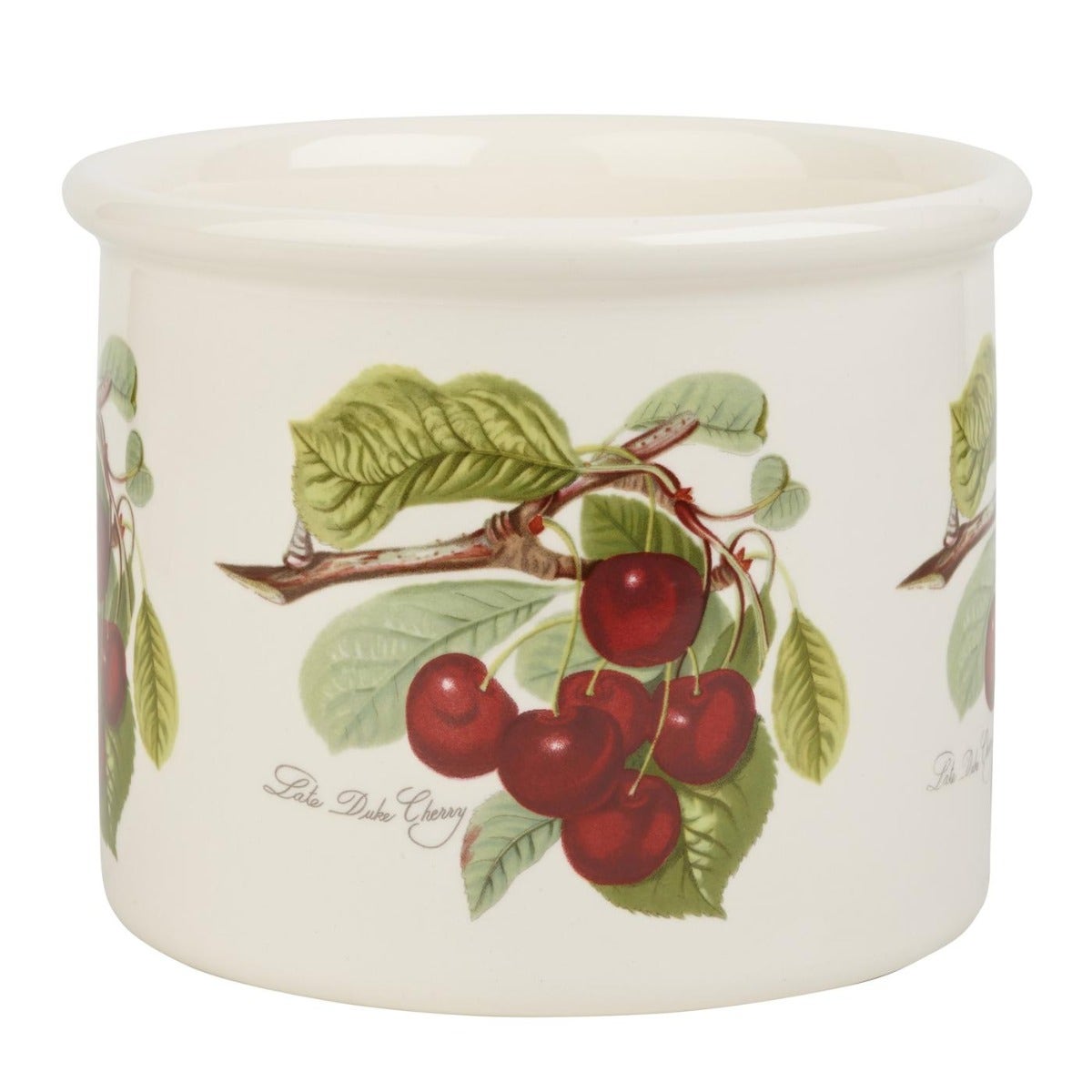 Seconds Portmeirion Pomona 7 Inch Plant Pot - No Guarantee Of Fruit Design