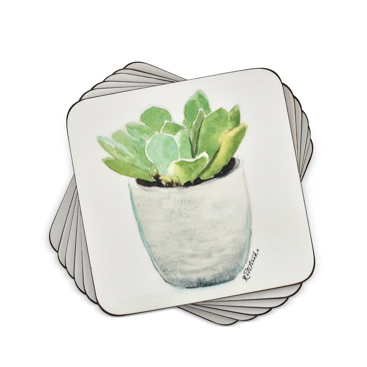 Pimpernel Succulents Set of 6 Coasters