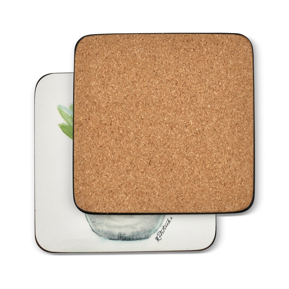 Pimpernel Succulents Set of 6 Coasters