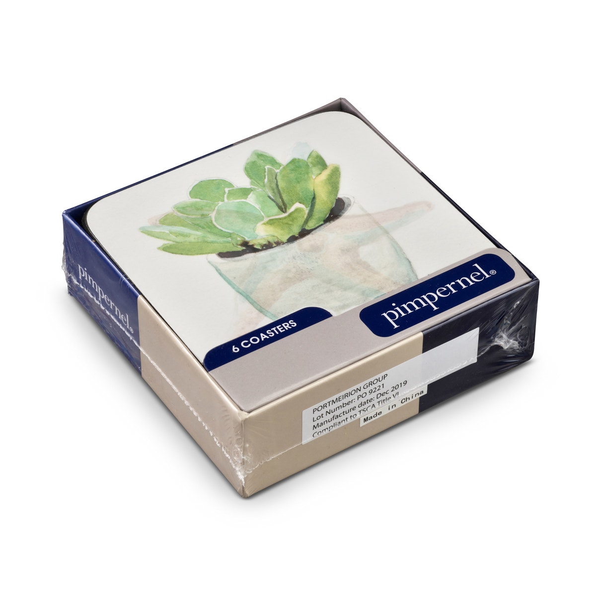 Pimpernel Succulents Set of 6 Coasters