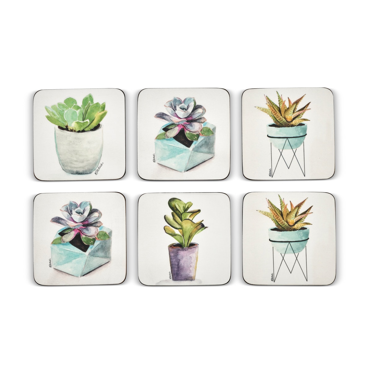 Pimpernel Succulents Set of 6 Coasters