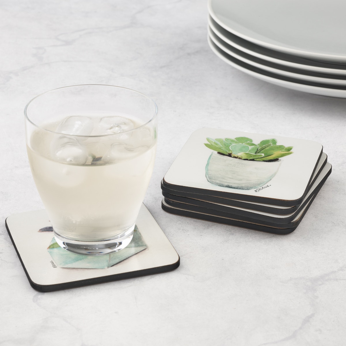 Pimpernel Succulents Set of 6 Coasters