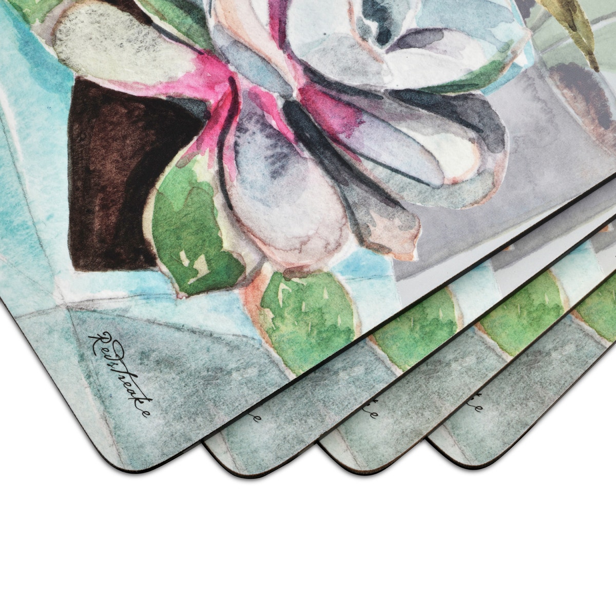 Pimpernel Succulents Set of 4 Placemats