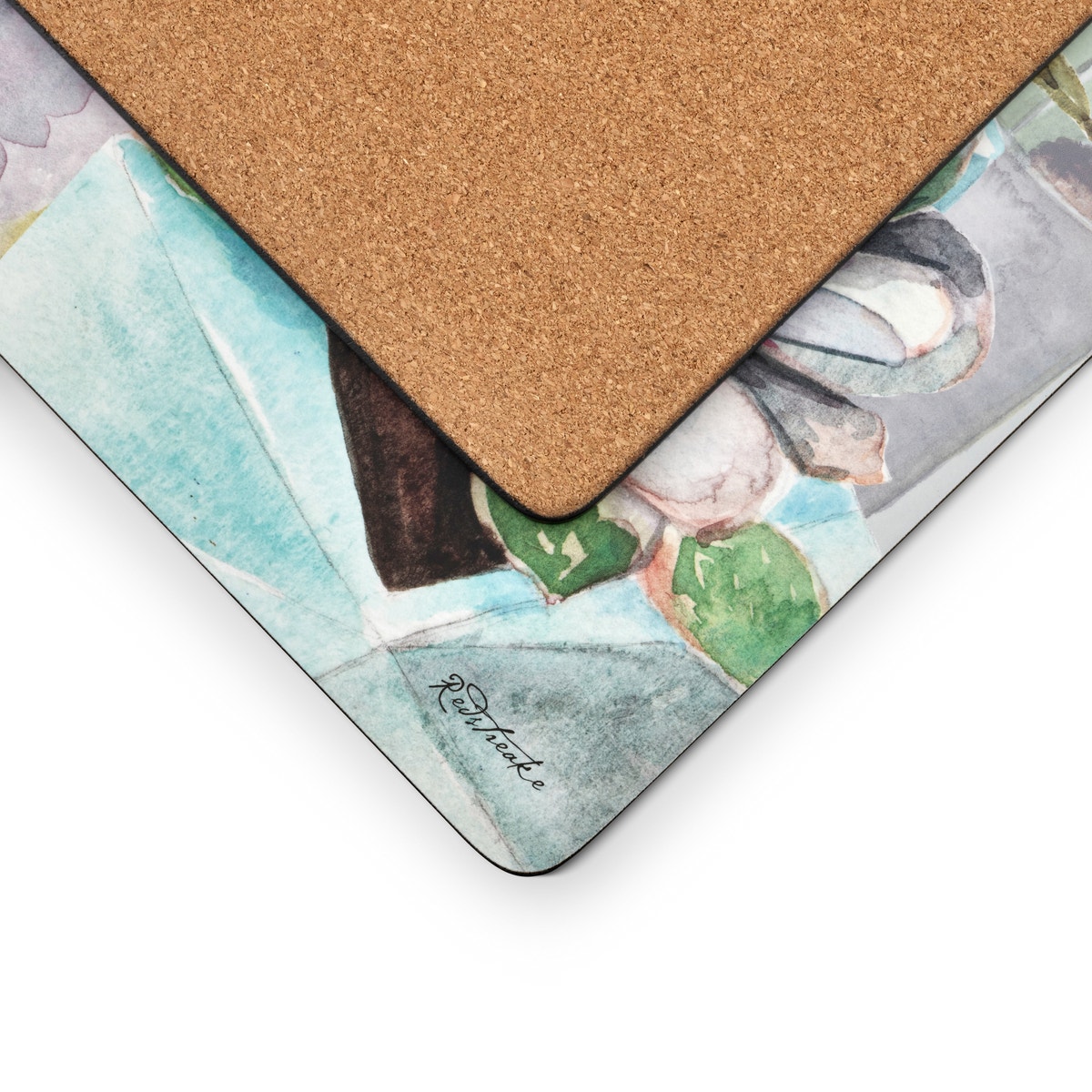 Pimpernel Succulents Set of 4 Placemats