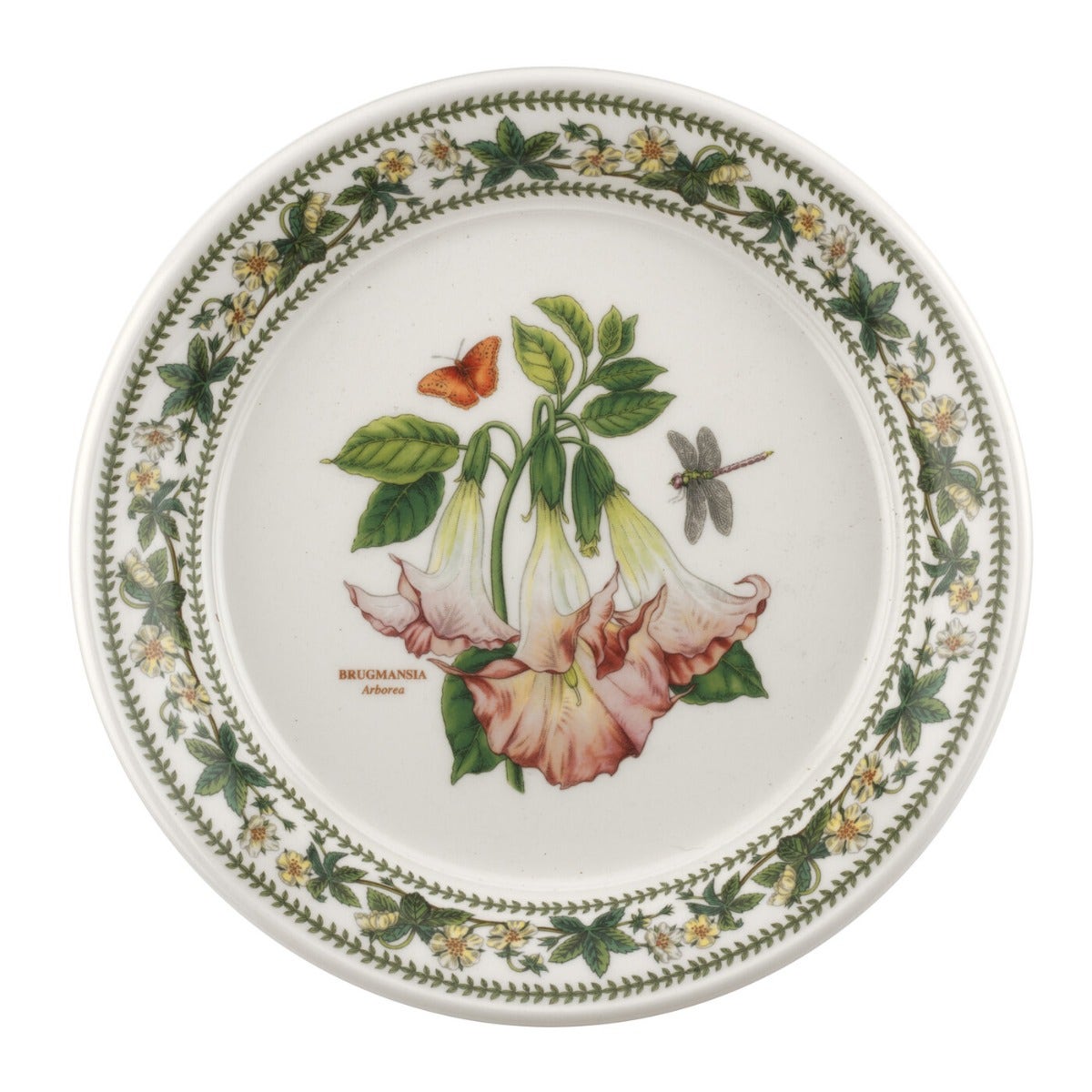 Seconds Portmeirion Variations Set Of 6 8 Inch Plates - No Guarantee of Flower Design