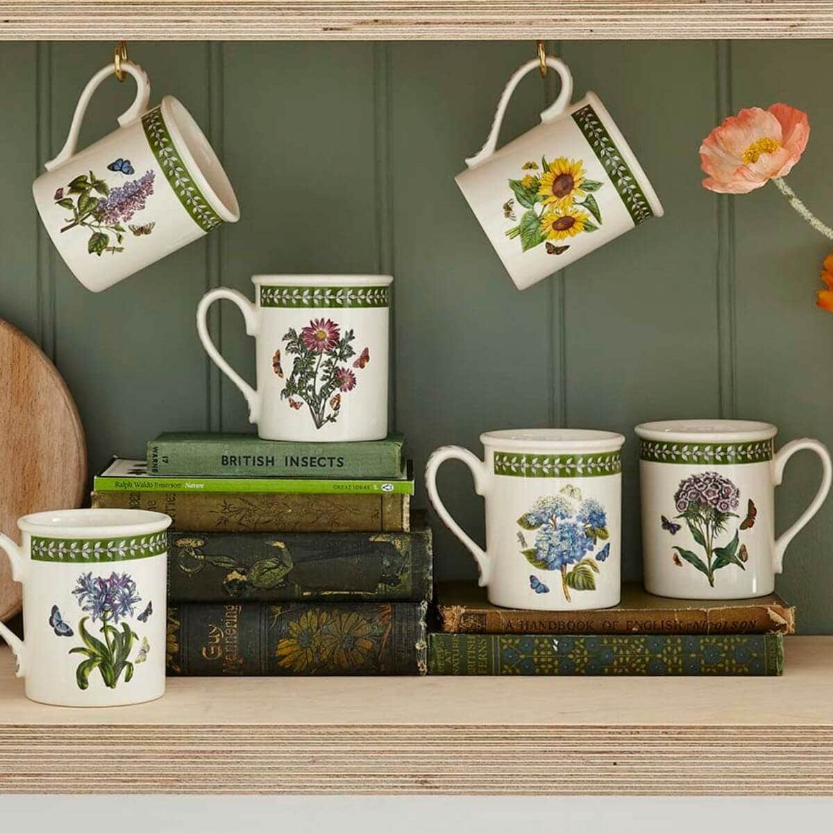Botanic Garden Etchings Set of 6, Breakfast Mugs