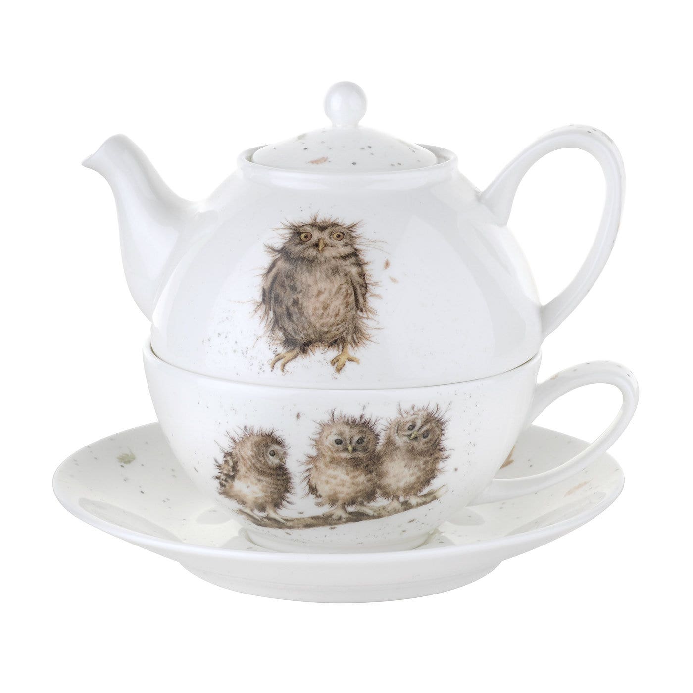 Royal Worcester Wrendale Designs Owl Tea For One with Saucer 