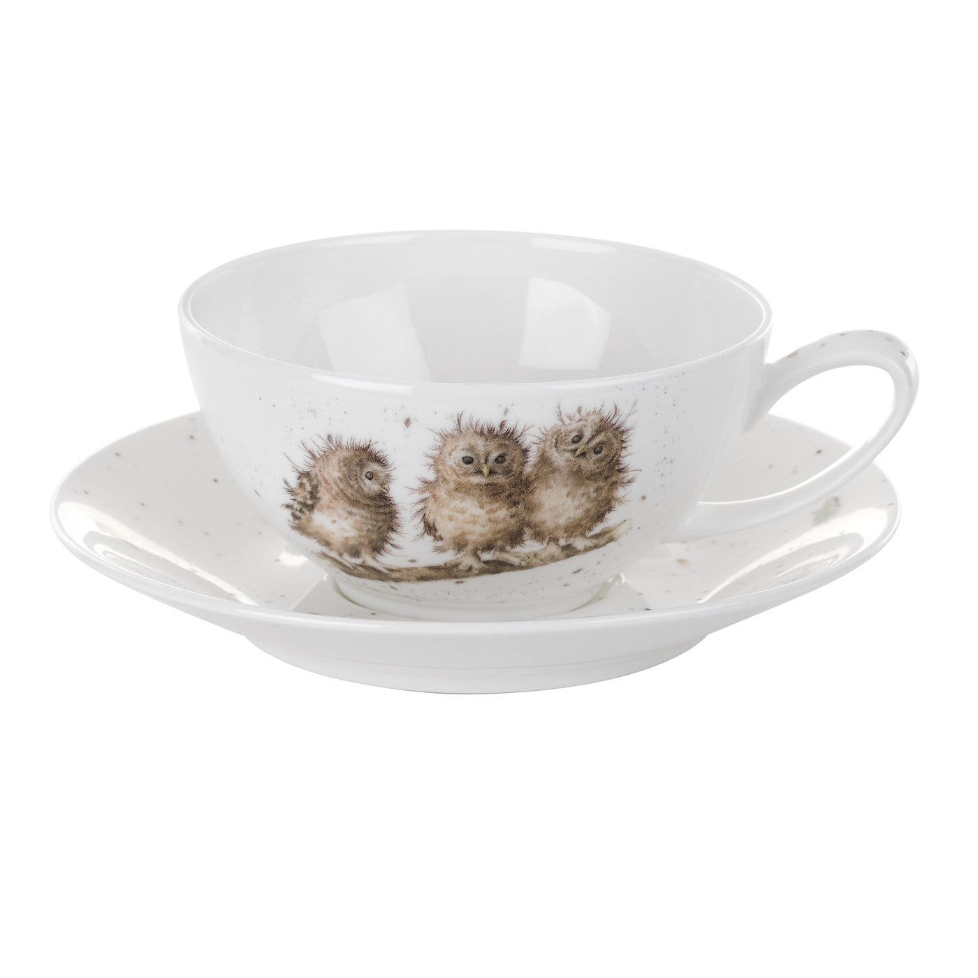 Royal Worcester Wrendale Designs Owl Cappuccino Cup and Saucer