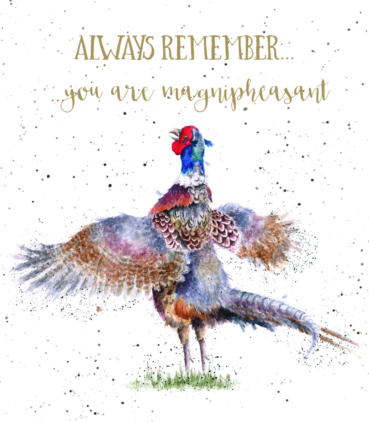 Wrendale Designs Motivational Quotes Gift Set
